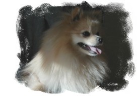 f:id:nanhime:20100206195638j:image:w350 f:id:nanhime:20100206195638j:image:w350