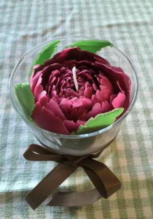 f:id:nanhime:20101127210323j:image:w270