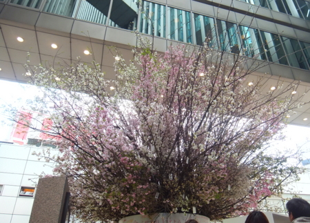 f:id:nanhime:20120325192005j:image:w350