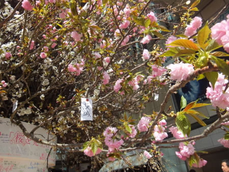 f:id:nanhime:20120325193114j:image:w350