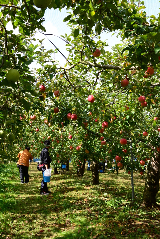 f:id:nanigashi-yakko:20181027225916j:plain