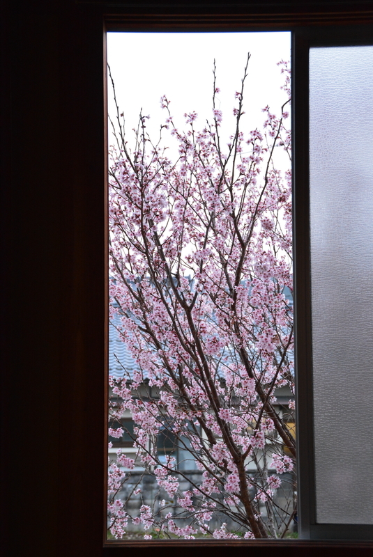 f:id:nanigashi-yakko:20210314195750j:plain