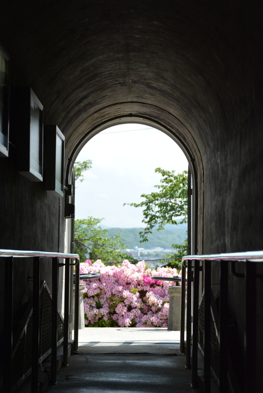 f:id:nanigashi-yakko:20210501211626j:plain
