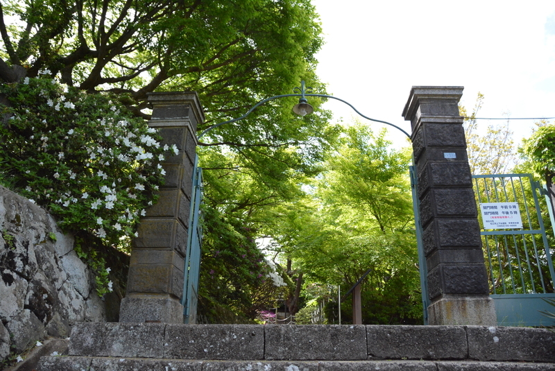 f:id:nanigashi-yakko:20210501211931j:plain