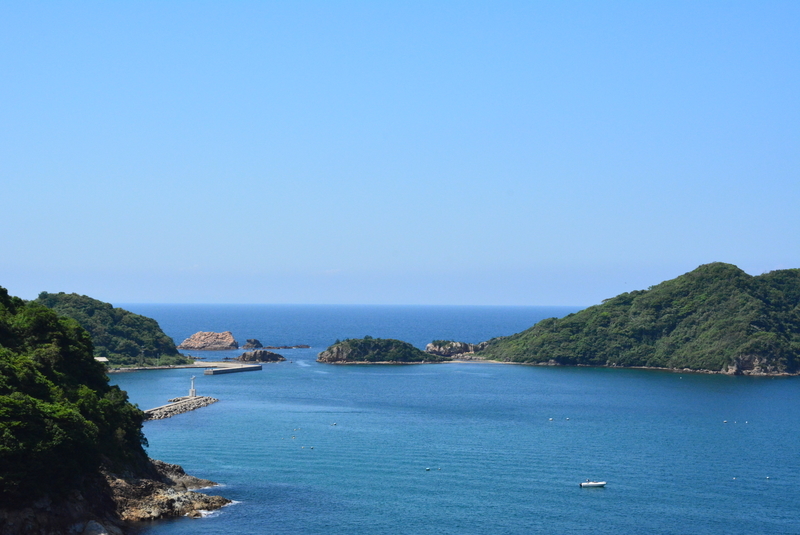 f:id:nanigashi-yakko:20210530203211j:plain