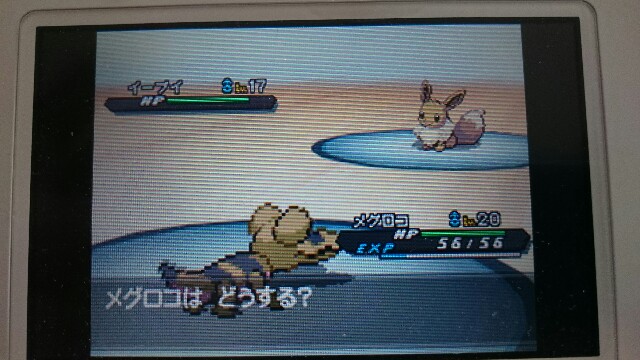 今さらポケモンブラック2プレイ日記 バトルカンパニー編 何が好きかを語るブログ 今さらポケモンブラック2プレイ日記 バトルカンパニー編 何が好きかを語るブログ