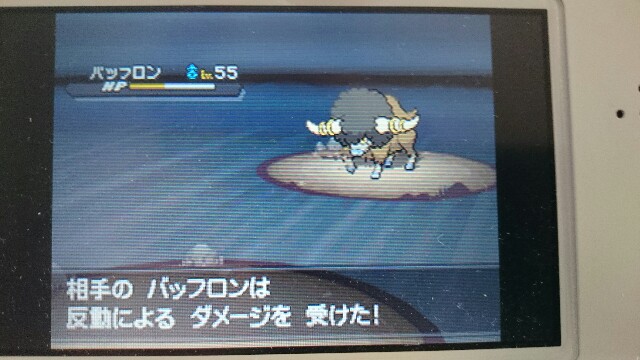 何が好きかを語るブログ