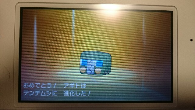 Usum発売前にポケモンサンプレイ日記 ４番道路 オハナタウン編 何が好きかを語るブログ