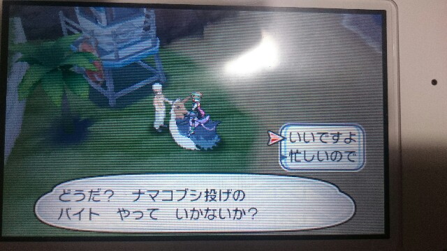 Usum発売前にポケモンサンプレイ日記 ハノハノリゾート編 何が好きかを語るブログ