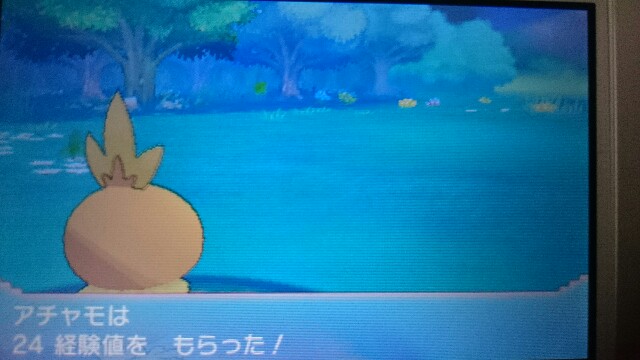 ポケモンオメガルビープレイ日記 御三家編 何が好きかを語るブログ