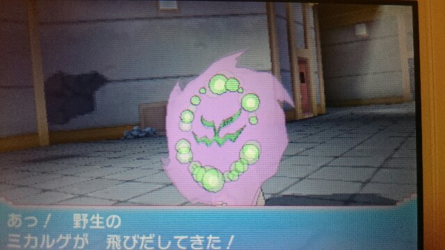 ポケモンオメガルビープレイ日記 おんみょ ん捕獲編 何が好きかを語るブログ