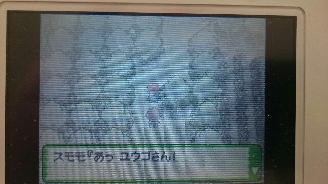 9周年から始めるポケモンプラチナプレイ日記 雪道編 何が好きかを語るブログ