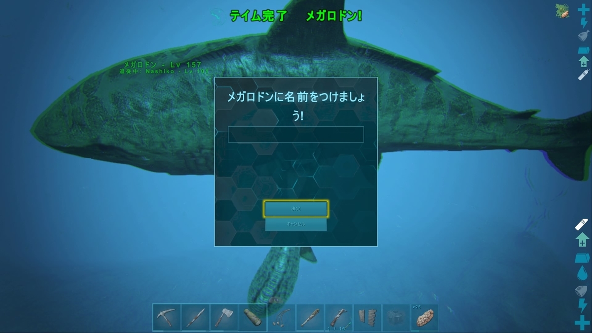 どとうのスタートダッシュ ラッシュ くうはくの745 どとうのスタートダッシュ ラッシュ くうはくの745