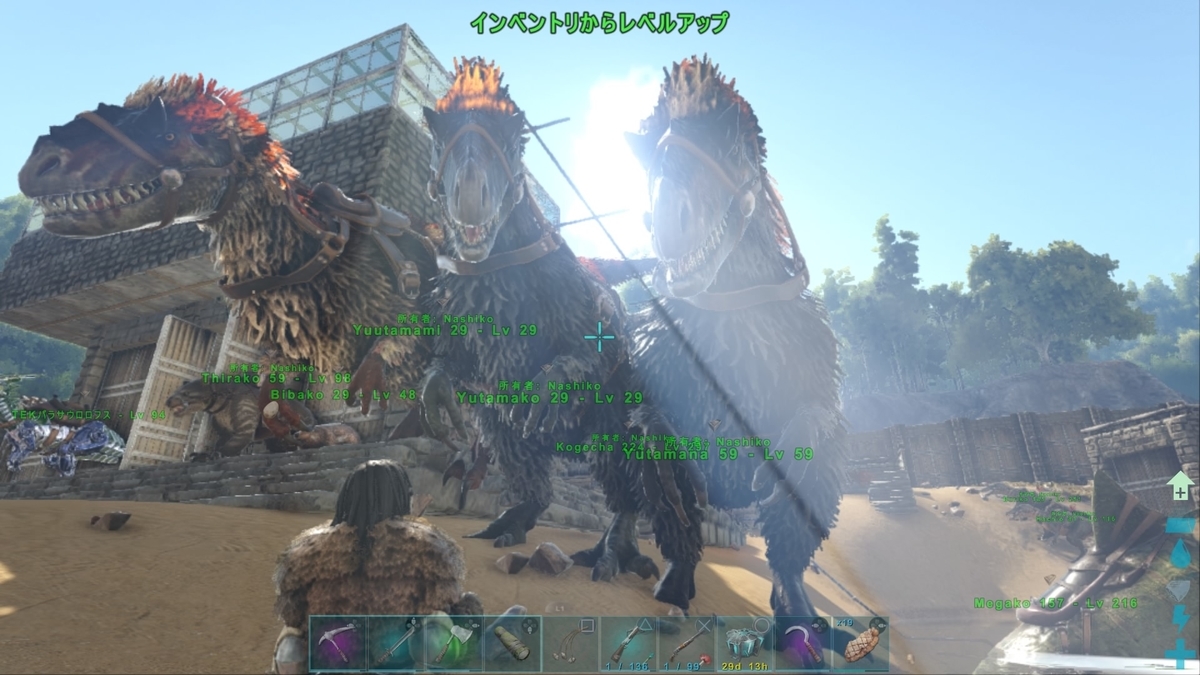 ねんがんのヒツジ くうはくの７４５