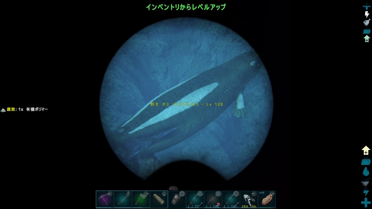 イカはいかが くうはくの７４５