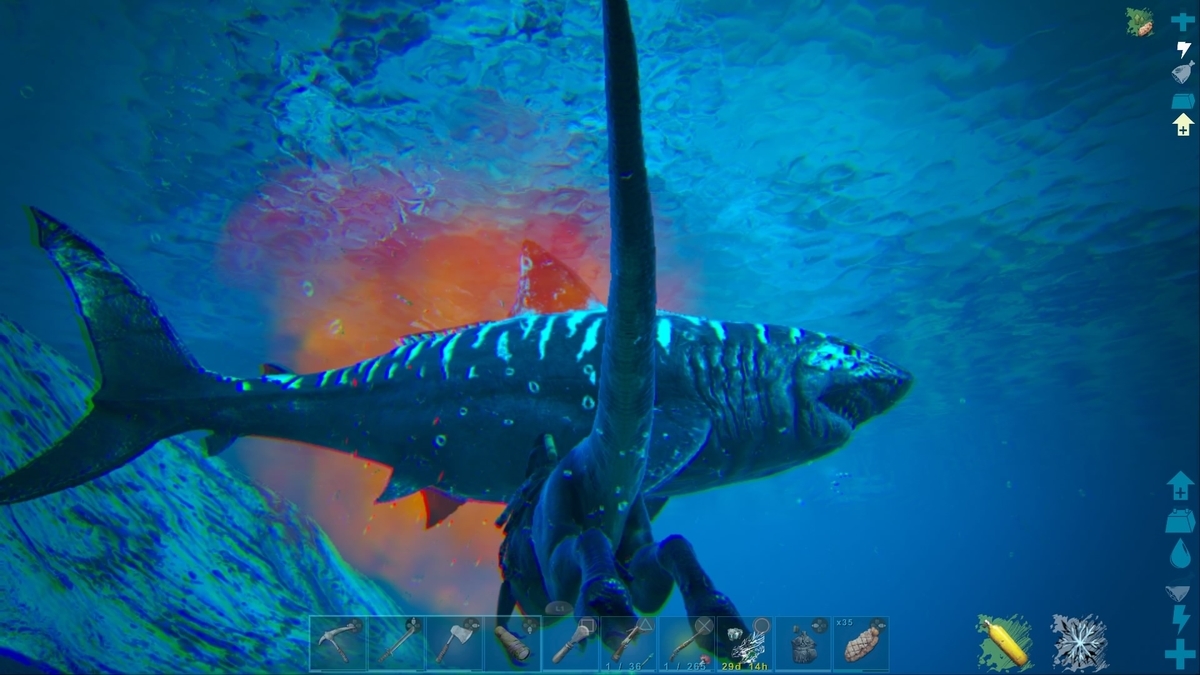 野良イカを引き取る事にしたはなし Ark ちょこっとクリスタルアイルズ その9 くうはくの745 野良イカを引き取る事にしたはなし Ark ちょこっとクリスタルアイルズ その9 くうはくの745