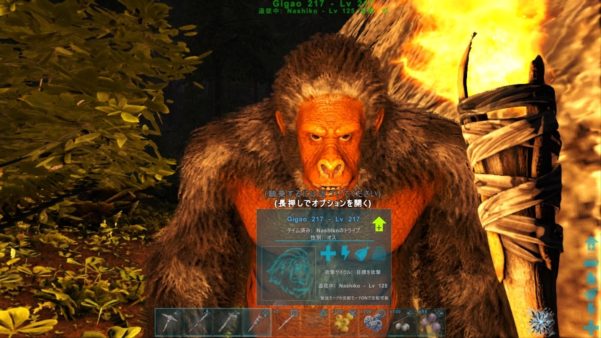 ごめんねギガントピテクス Ark あこがれのラグナロク ひろいもの生活 その２ くうはくの７４５