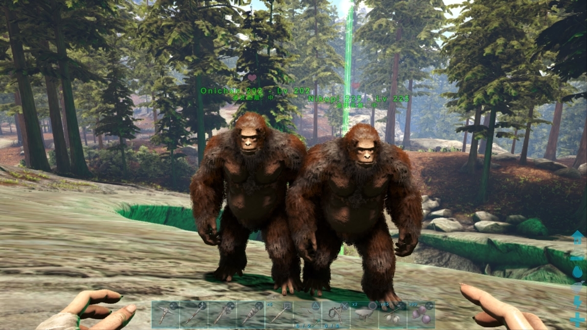 すべての経験は財産なんだ Ark あこがれのラグナロク ひろいもの生活 その３ くうはくの７４５