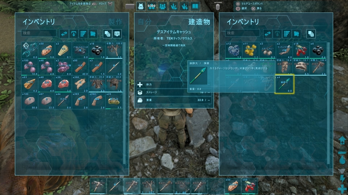 色んなことがあったけどプラットフォームはまだ無い Ark バルゲロでゆるゆるプラットフォーム生活 仮 その２ くうはくの７４５