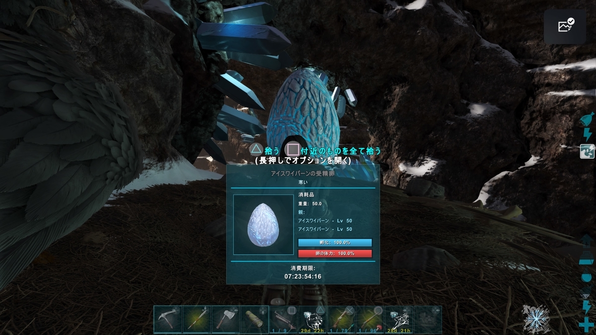 雪山エリアにあったお宝 Ark もう一度いつものarkを遊びたい ロストアイランド その７ くうはくの７４５