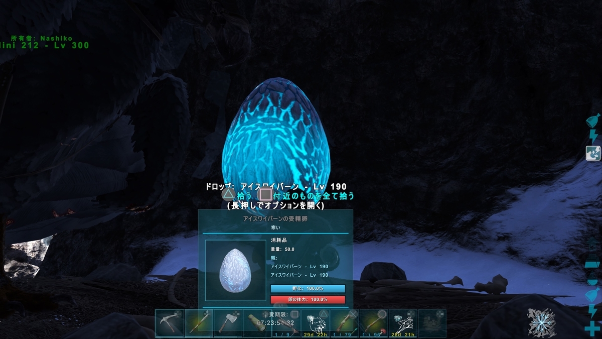 雪山エリアにあったお宝 Ark もう一度いつものarkを遊びたい ロストアイランド その７ くうはくの７４５