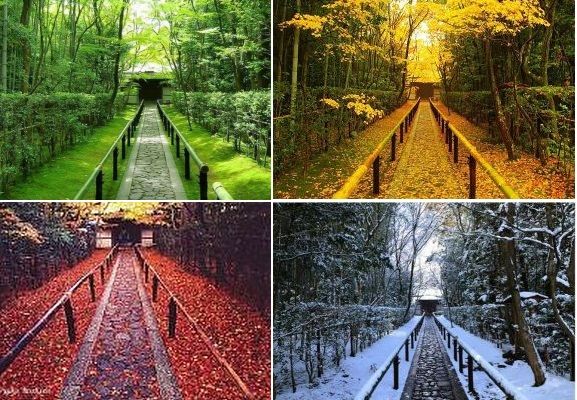 f:id:naniuji:20170126092428j:image:w200:right