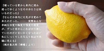 f:id:naniuji:20170211003016j:image:w180:left f:id:naniuji:20170211003016j:image:w180:left