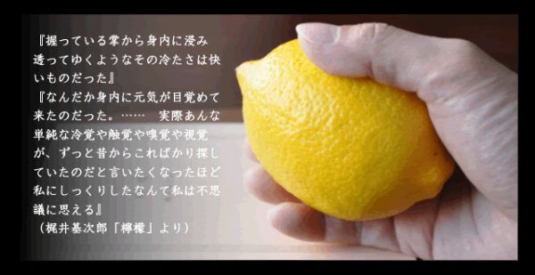 f:id:naniuji:20170212213225j:image:w160:right