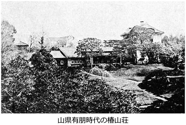 f:id:naniuji:20170709113137j:image:w200:left