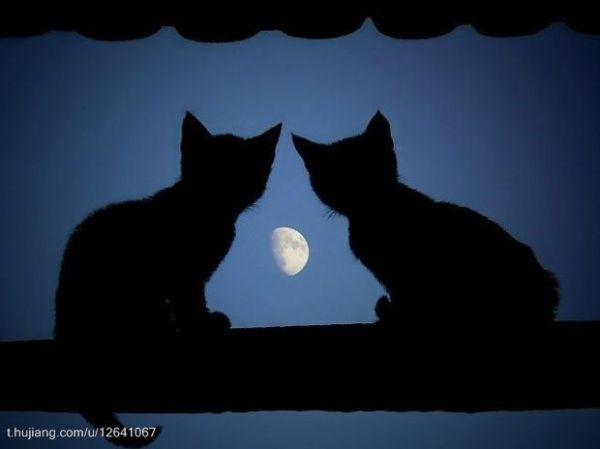 f:id:naniuji:20171004225114j:image:w180:left