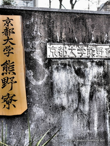 f:id:naniuji:20171112160917j:image:w120:right