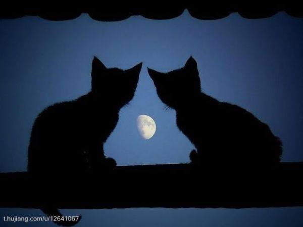 f:id:naniuji:20180306003207j:image:w160:right