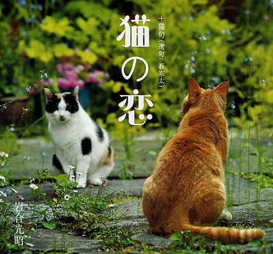 f:id:naniuji:20180306003257j:image:w140:left