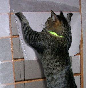 f:id:naniuji:20180306003351j:image:w120:left