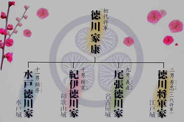 f:id:naniuji:20180717205633j:image:w200:left