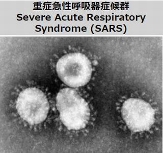 f:id:naniuji:20200413203449j:plain