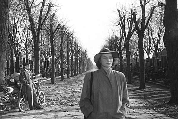 f:id:naniuji:20200417091421j:plain f:id:naniuji:20200417091421j:plain