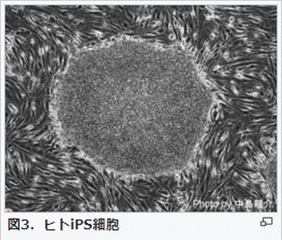 f:id:naniuji:20200530165904j:plain