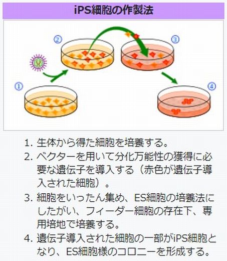 f:id:naniuji:20200530165935j:plain