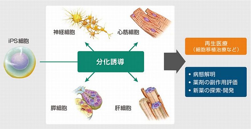 f:id:naniuji:20200530170038j:plain