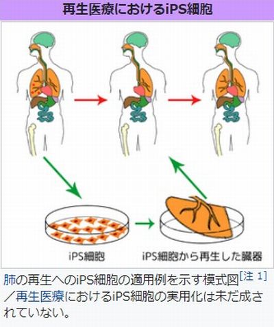 f:id:naniuji:20200829041954j:plain