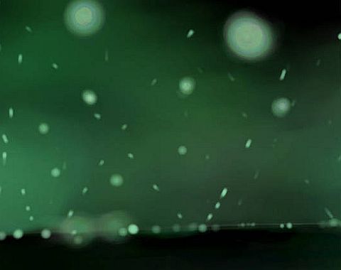 f:id:naniuji:20211213094446j:plain