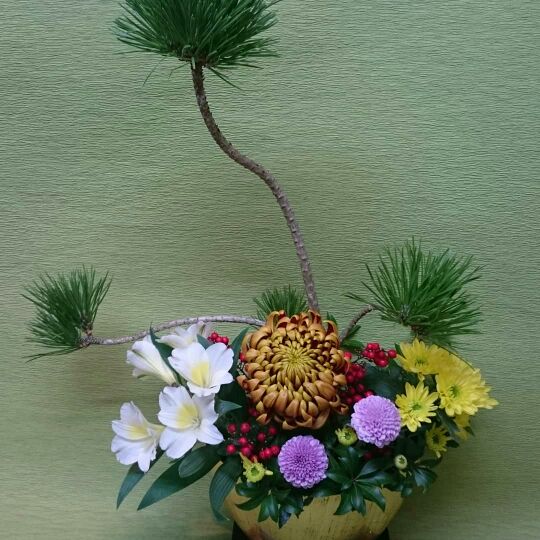 f:id:naniwa-hanamaru-chukichi:20190104165336j:plain