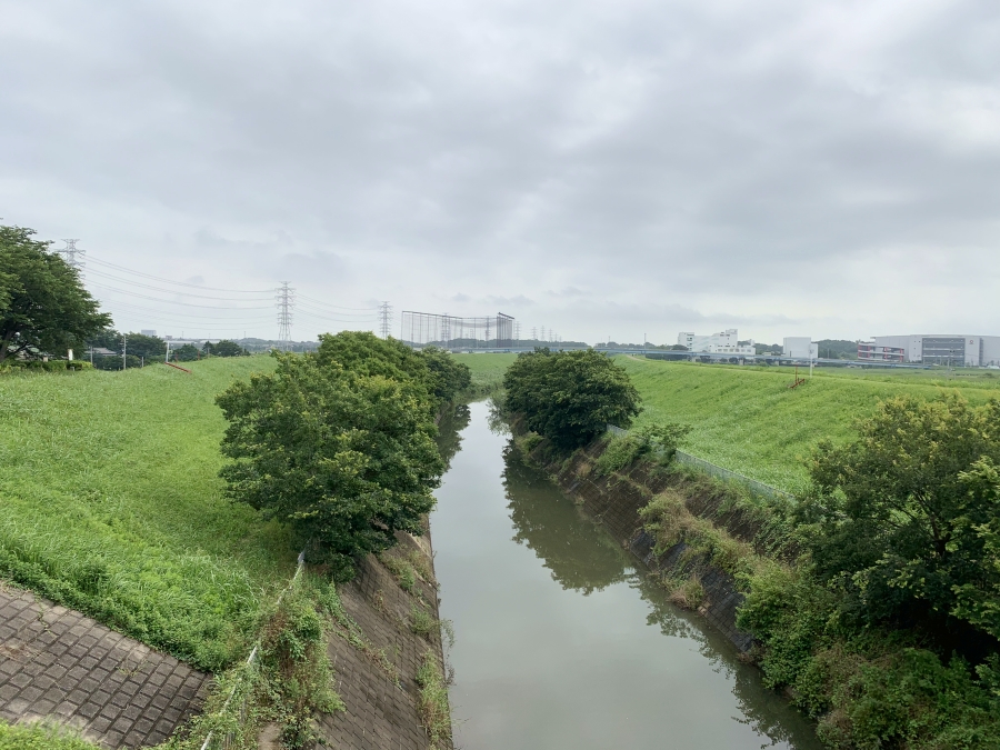 f:id:naniwakkoasa:20200709205657j:plain f:id:naniwakkoasa:20200709205657j:plain