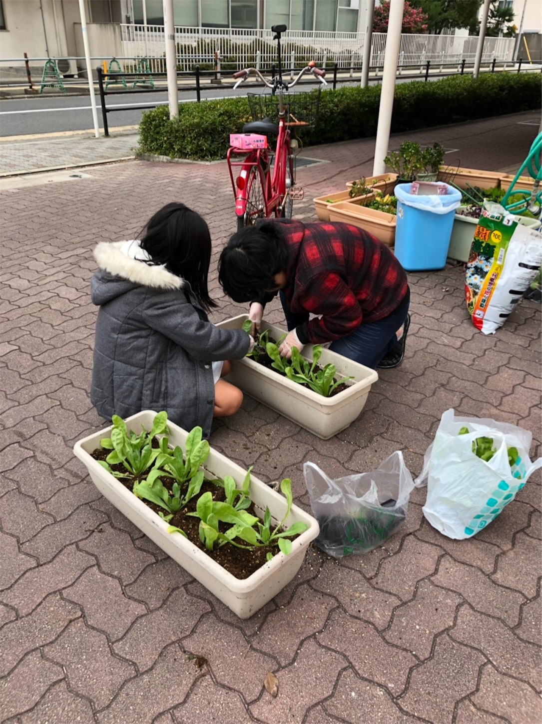 f:id:naniwatikatu:20181226161755j:image