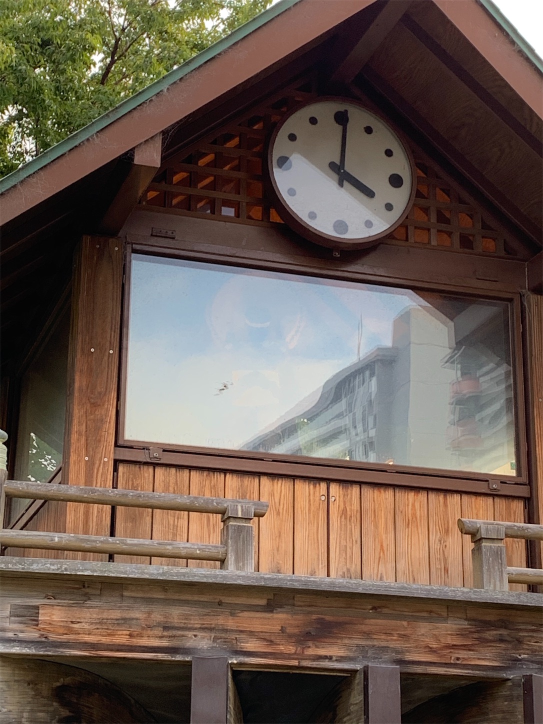 f:id:naniwatikatu:20190921231732j:image