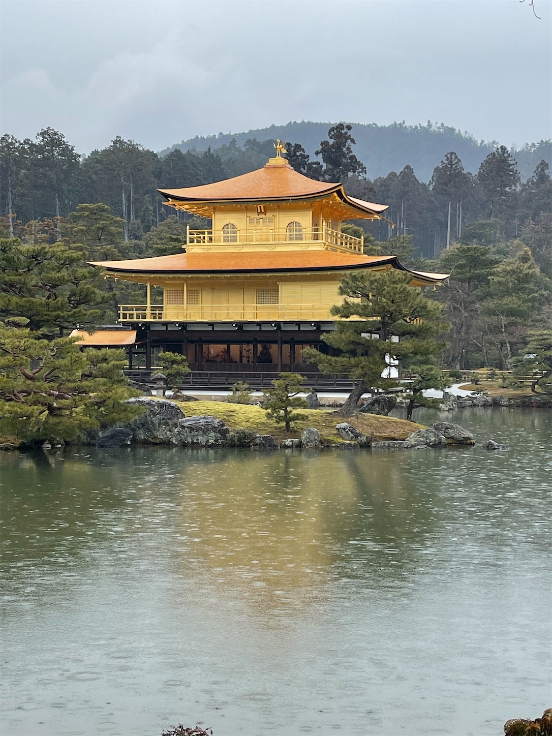 f:id:naniwatikatu:20210116145244j:image