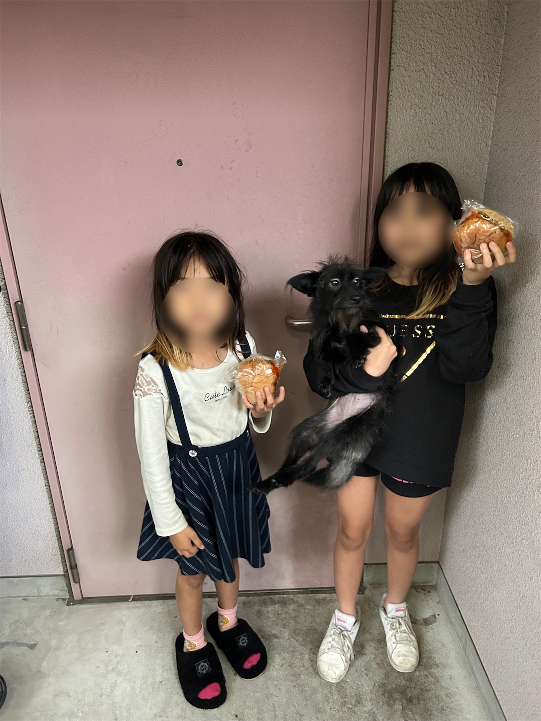 f:id:naniwatikatu:20230529234804j:image