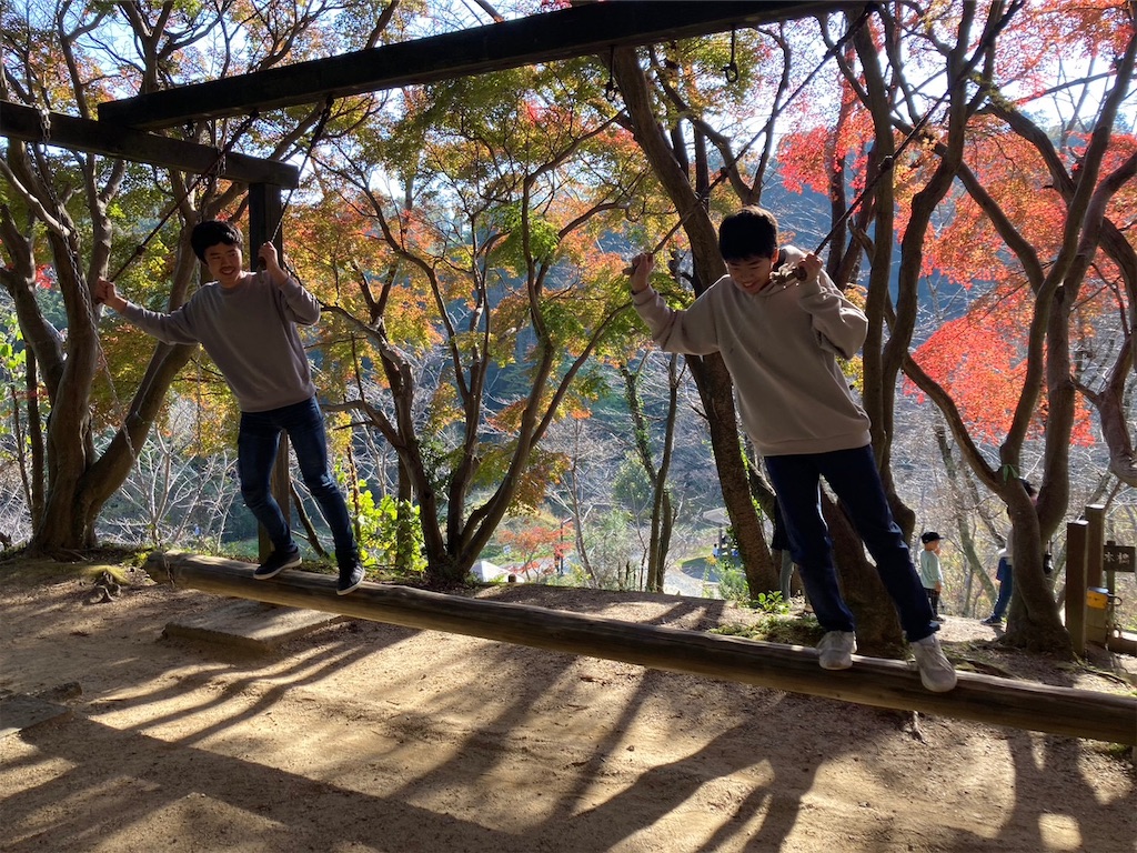 f:id:naniwatikatu:20231123173119j:image