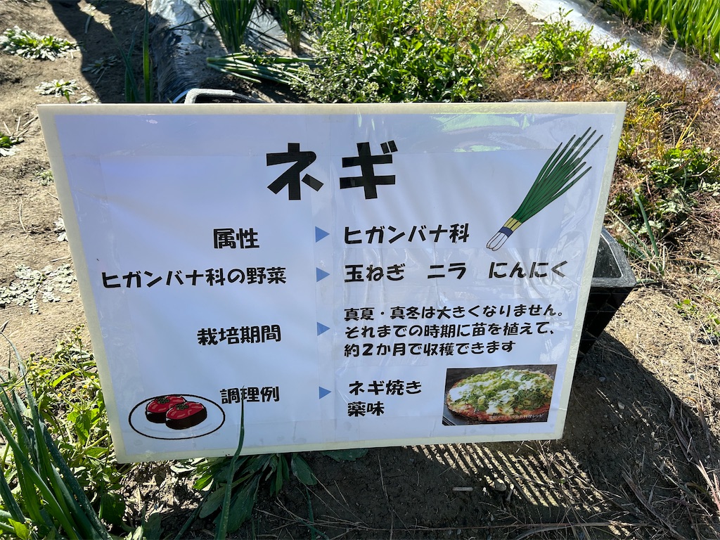 f:id:naniwatikatu:20231125173629j:image